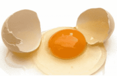 蛋鸡产业的发展困境与前景