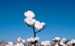 棉花期货平今仓手续费计算，日内交易平仓手续费？