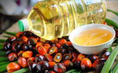 棕榈油期货保证金比例，棕榈油期货一手多少钱？