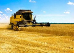 小麦期货的保证金比例是多少？做一手小麦期货要多少钱保证金？