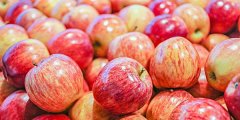 苹果期货的保证金比例是多少？做一手苹果期货要多少钱保证金？